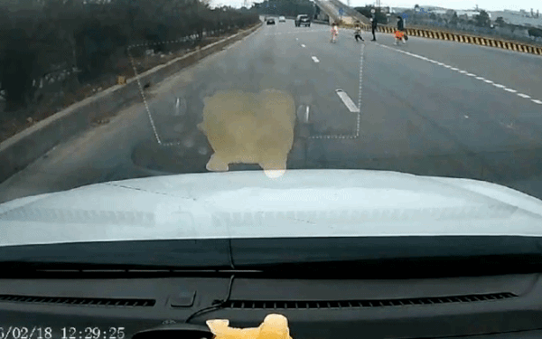 Bé trai lao vụt qua cao tốc, tài xế thót tim phanh 'cháy bánh'