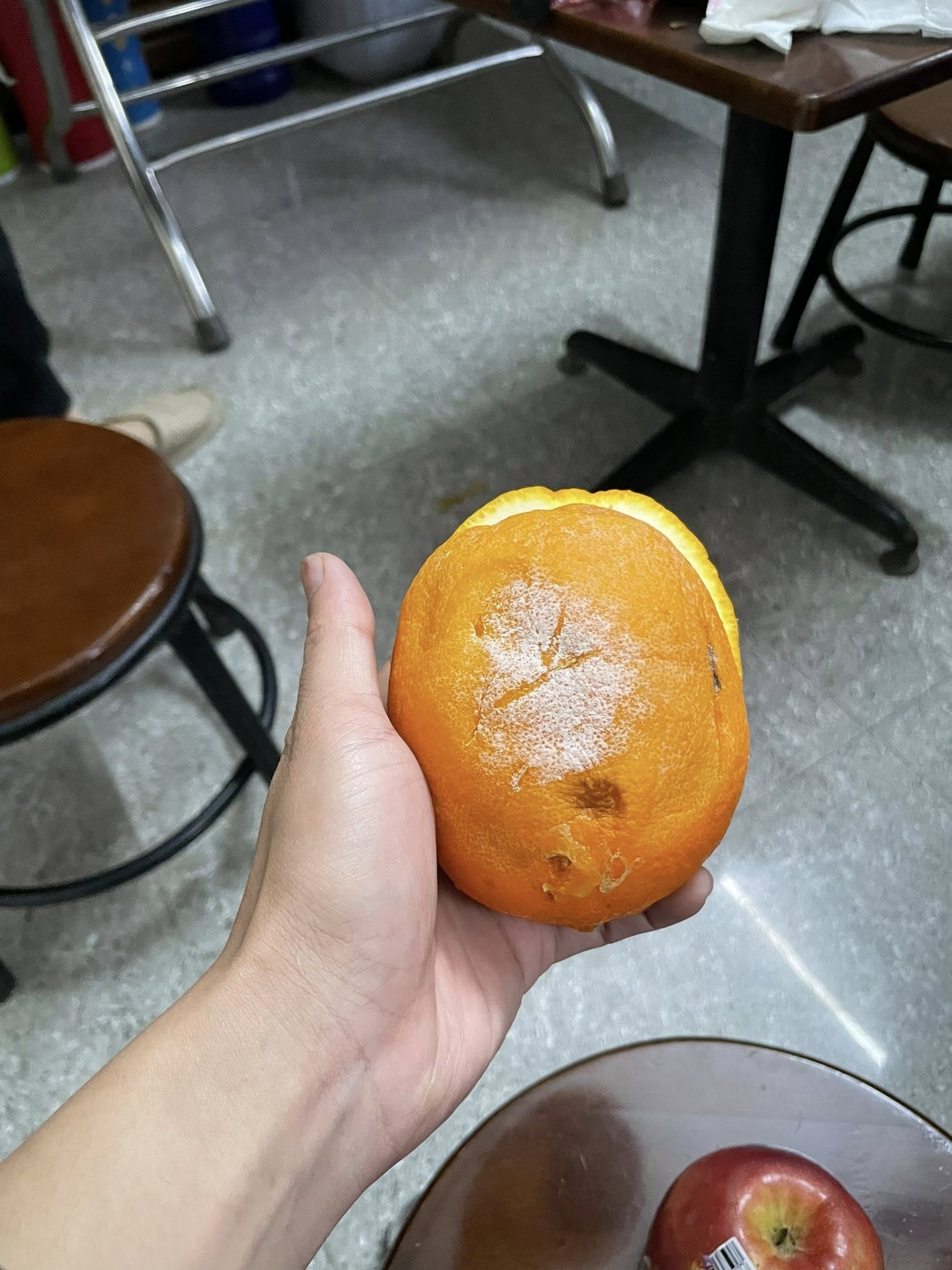 tráp ăn hỏi ảnh 4 trap an hoi anh 4