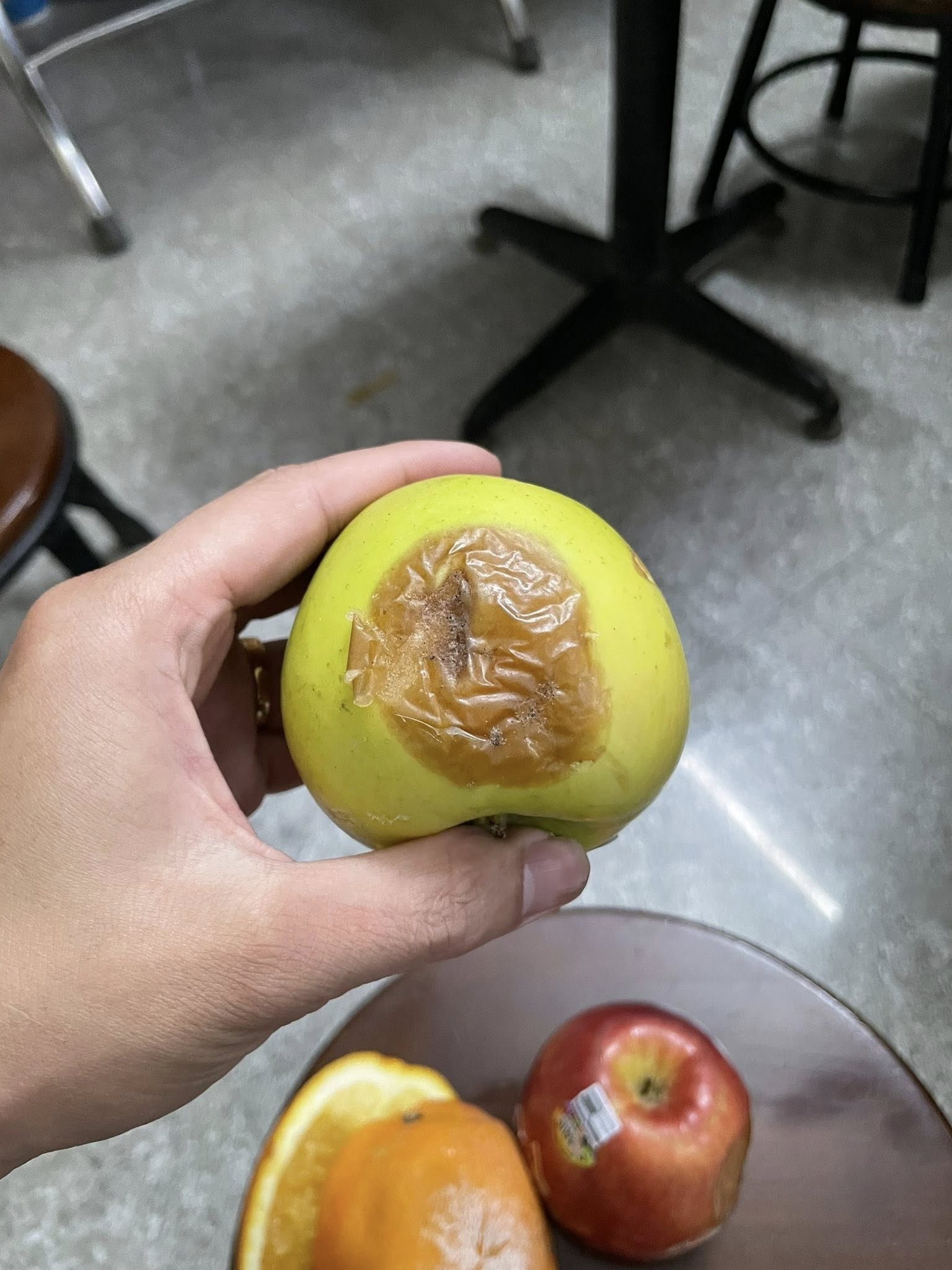 tráp ăn hỏi ảnh 1 trap an hoi anh 1