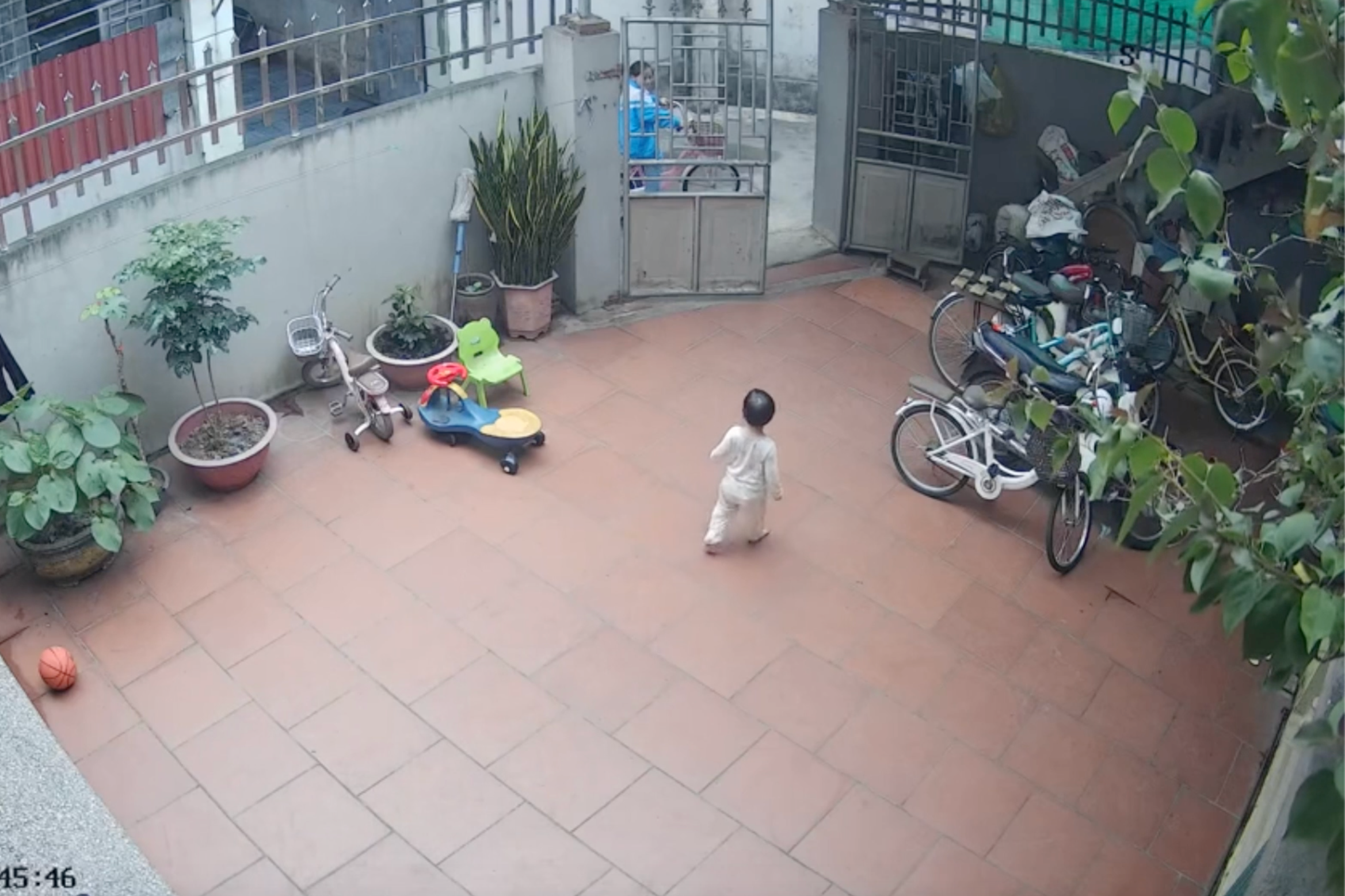 Clip be 25 thang tuoi tiep khach giup chi gay sot hinh anh