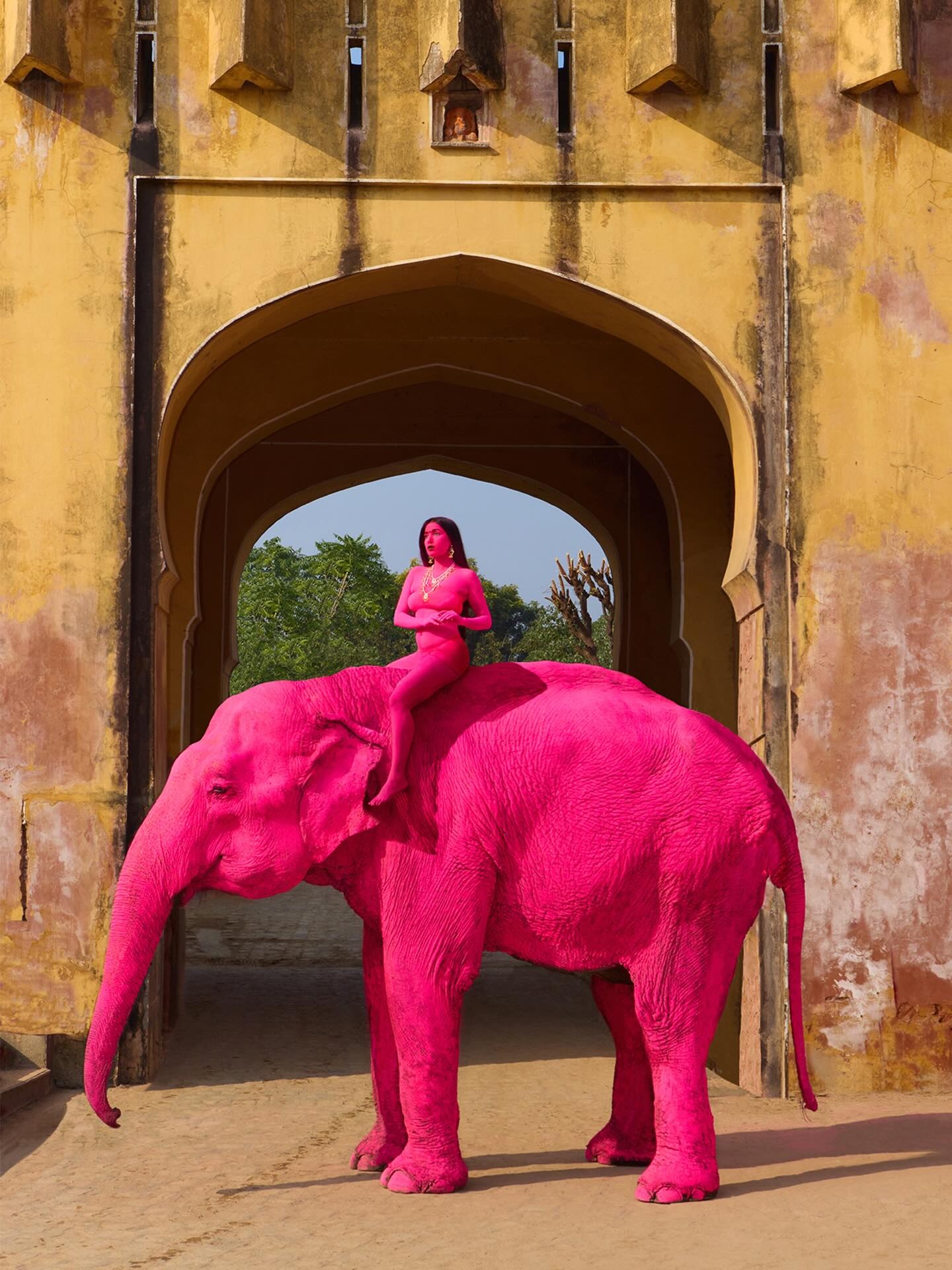 voi nhuom hong anh 1