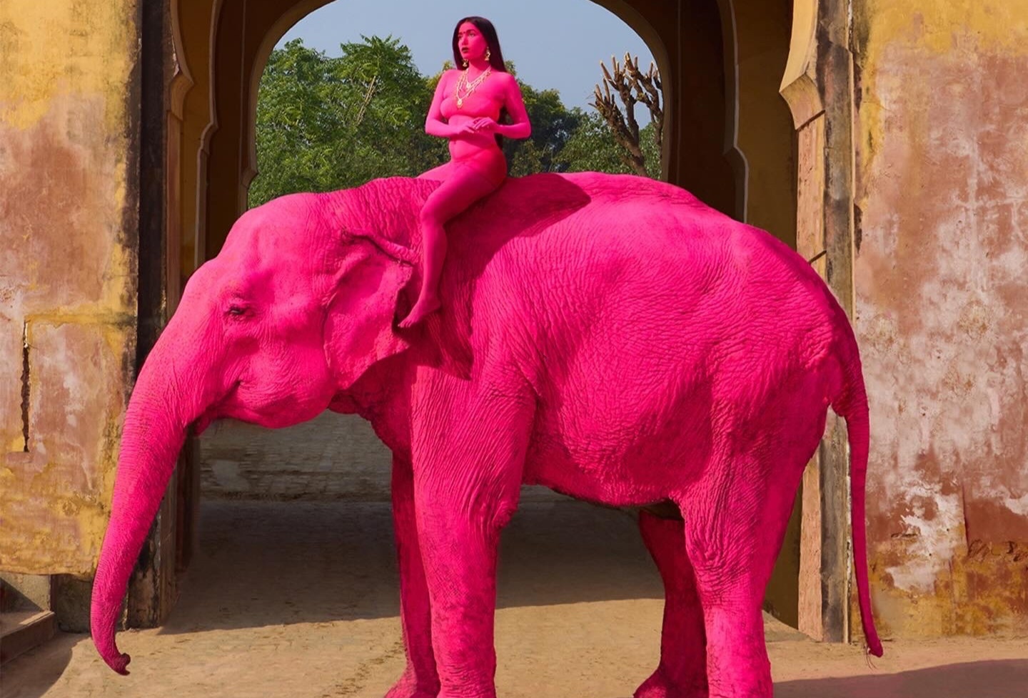 Voi 65 tuoi bi son hong ruc de chup anh gay phan no o An Do hinh anh