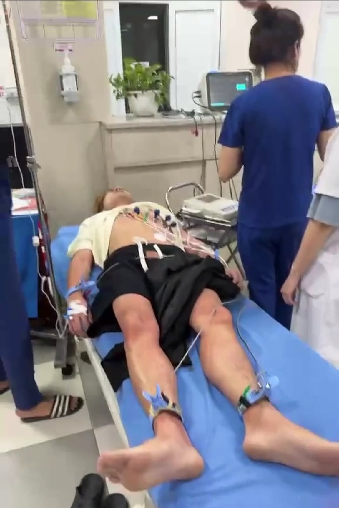 bánh trứng kiến ảnh 2 banh trung kien anh 2