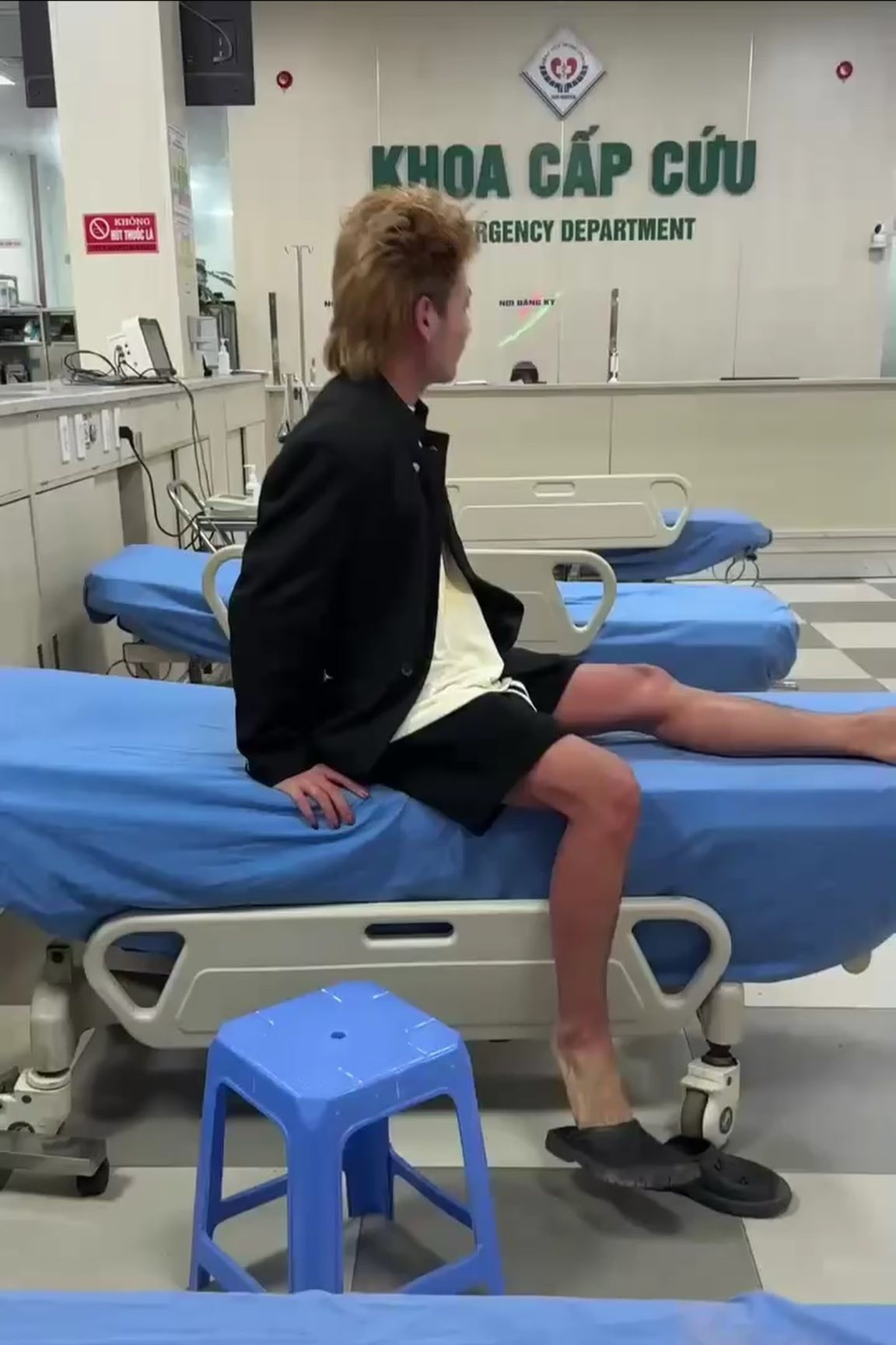 bánh trứng kiến ảnh 1 banh trung kien anh 1