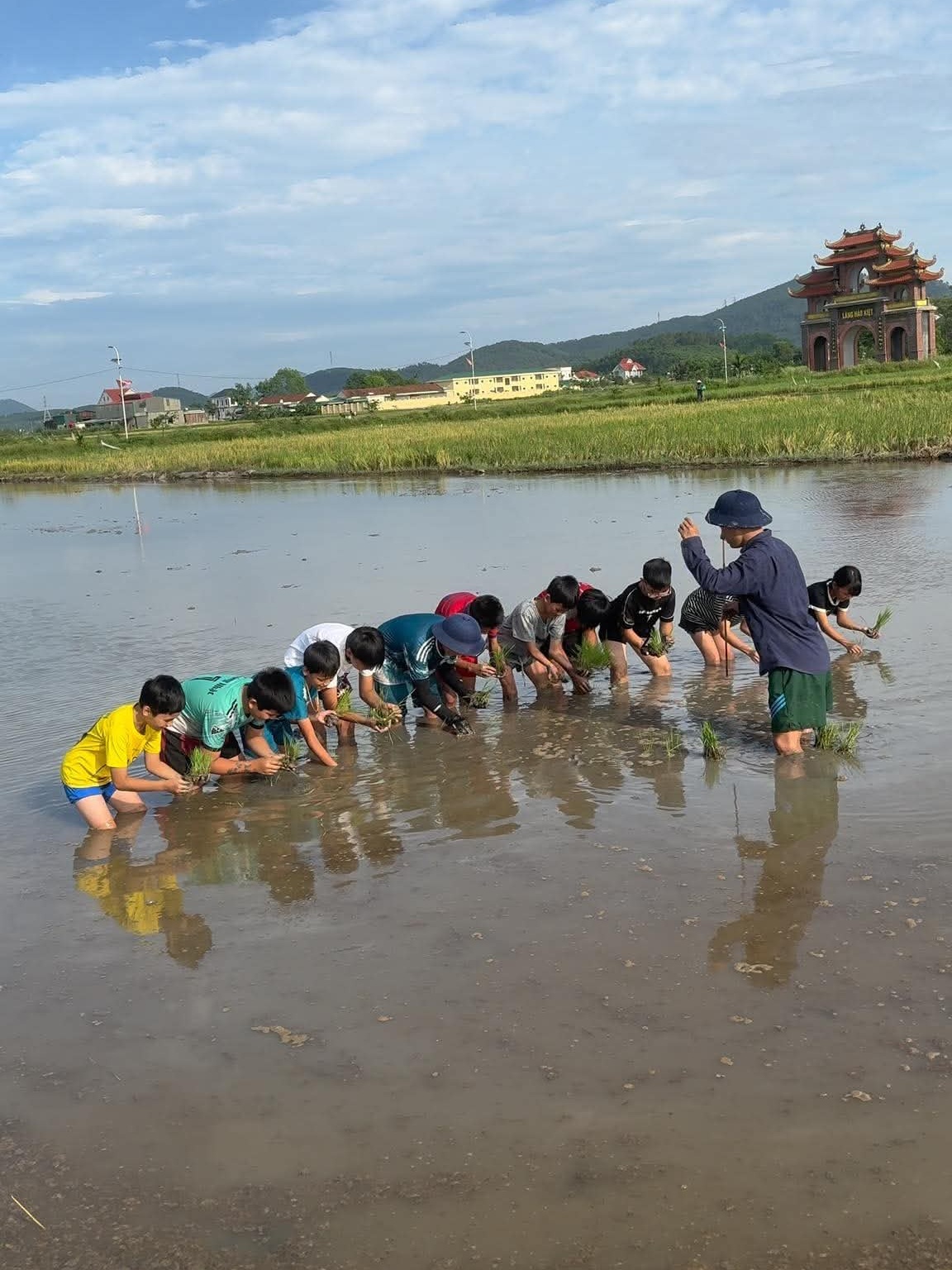 tour học cấy lúa ảnh 1 tour hoc cay lua anh 1