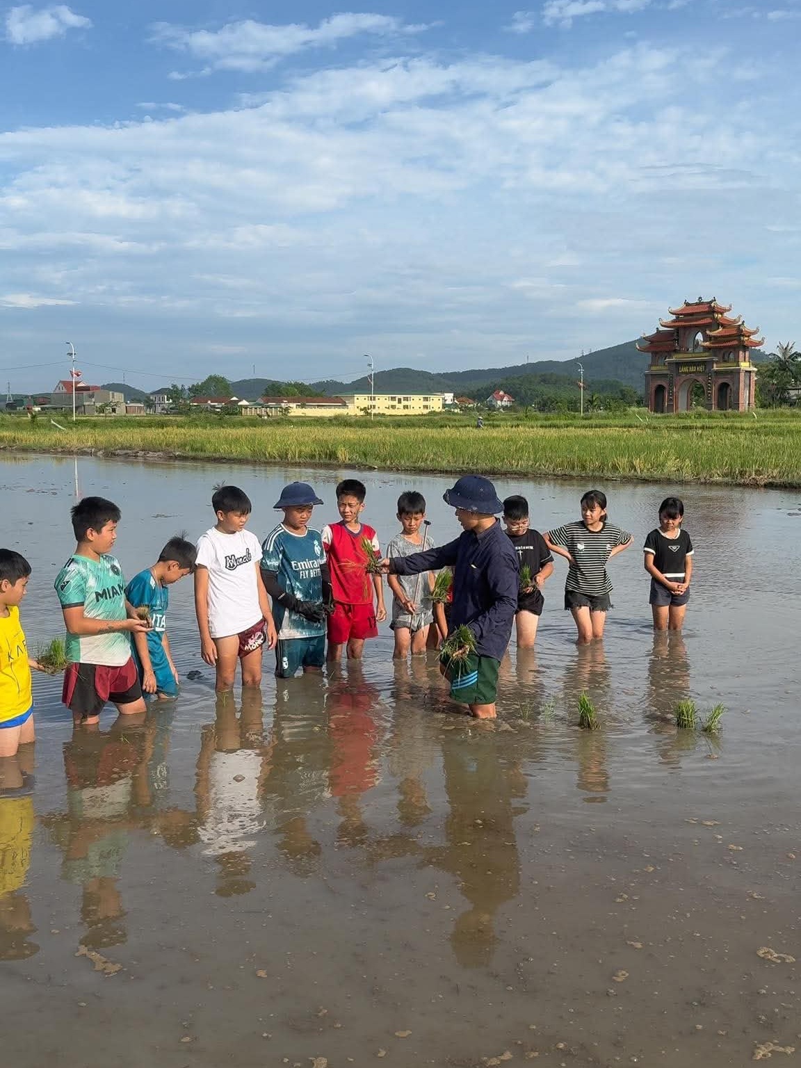tour học cấy lúa ảnh 2 tour hoc cay lua anh 2