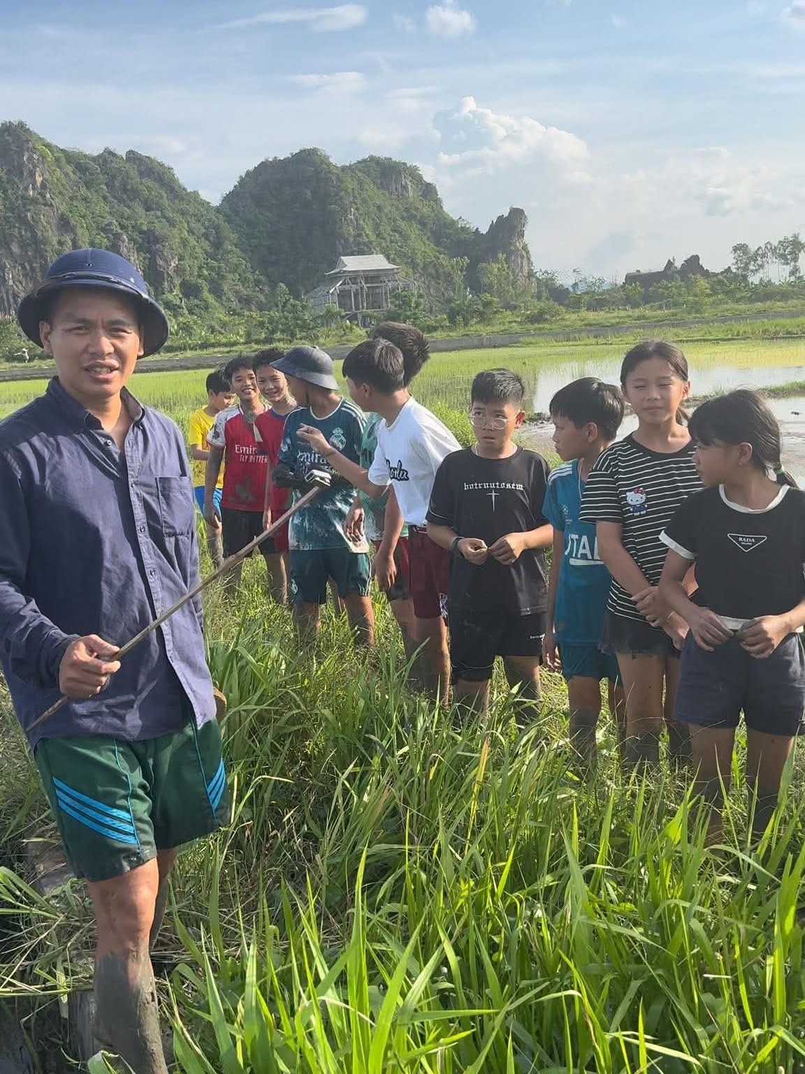 tour học cấy lúa ảnh 3 tour hoc cay lua anh 3