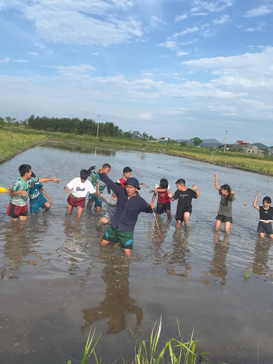 tour học cấy lúa ảnh 4 tour hoc cay lua anh 4