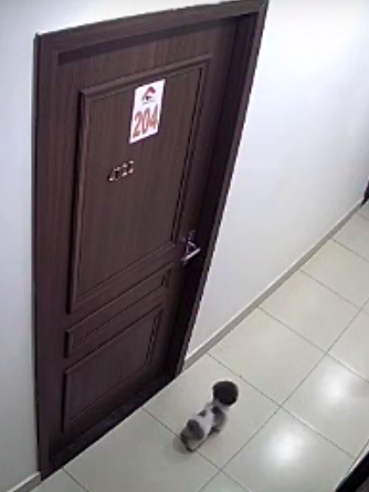 da chet chu cho anh 1