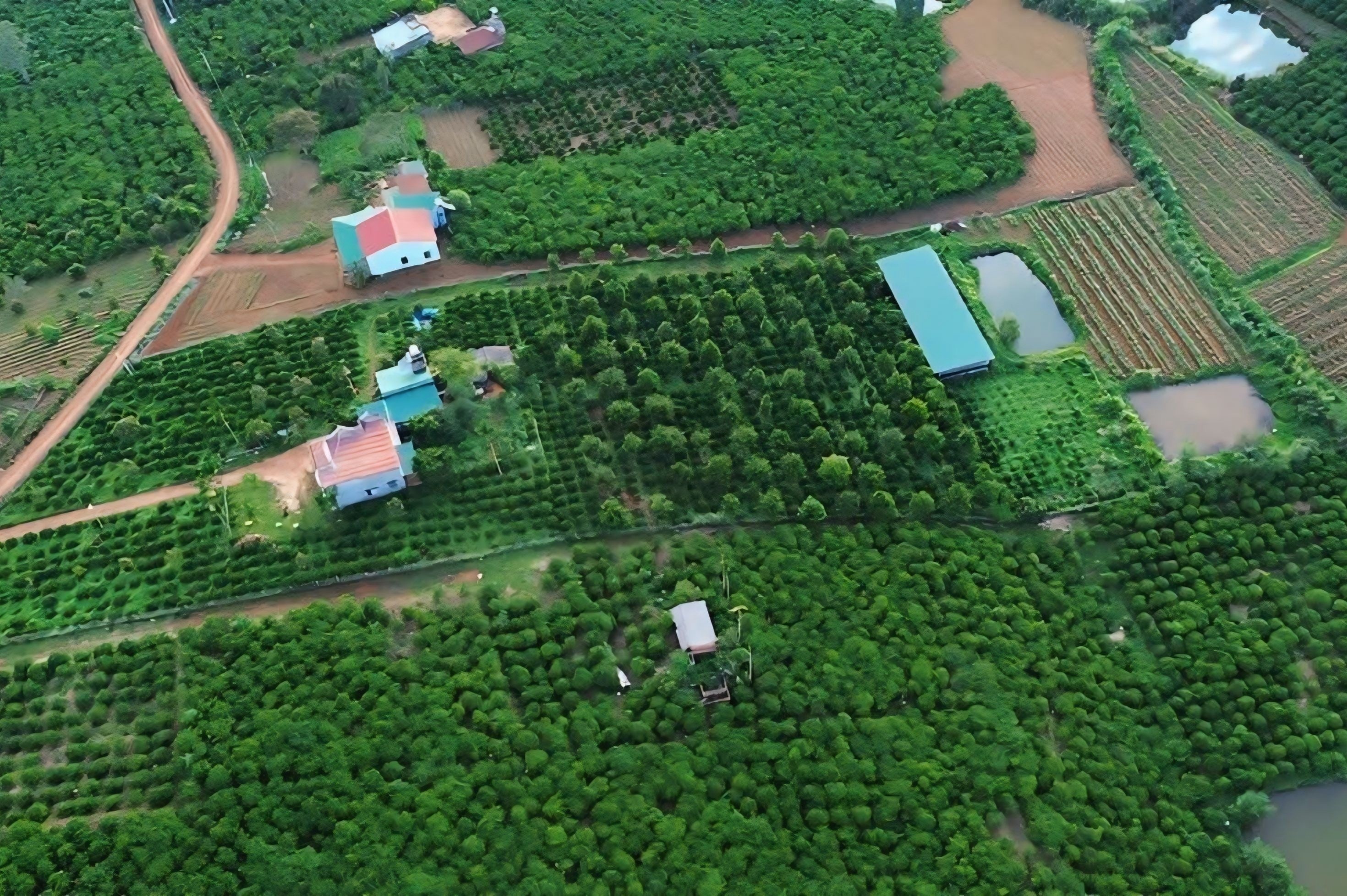 bỏ phố ảnh 2
