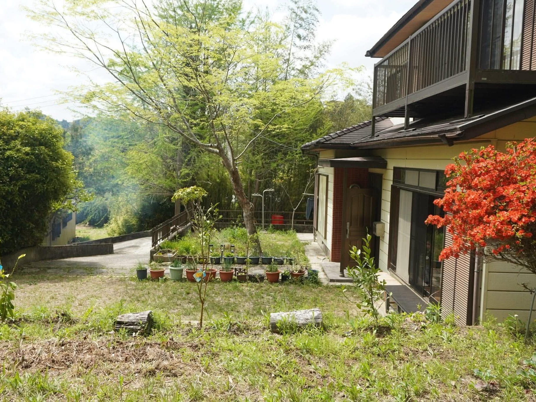 sống thuận tự nhi&ecirc;n ảnh 6