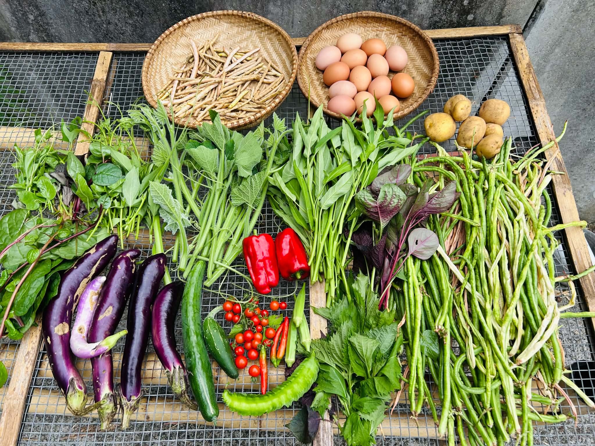 sống thuận tự nhi&ecirc;n ảnh 7