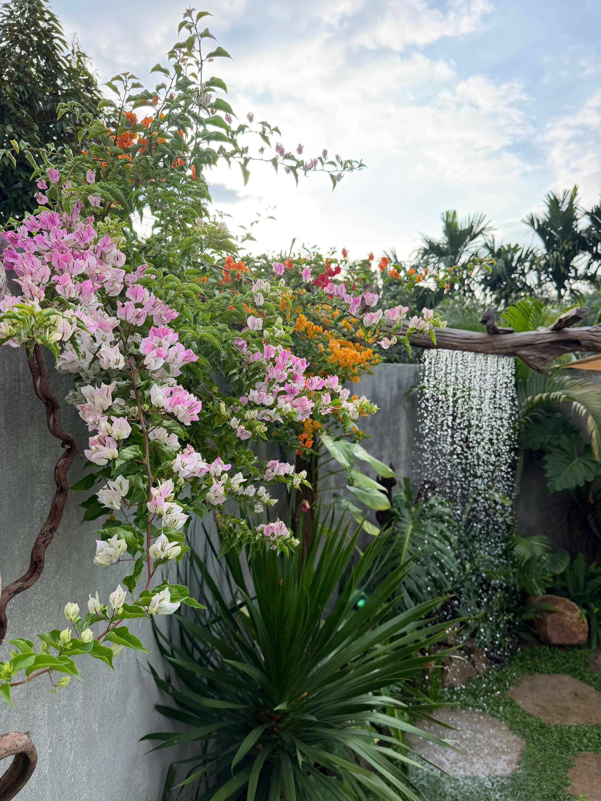 rời phố về qu&ecirc; ảnh 7