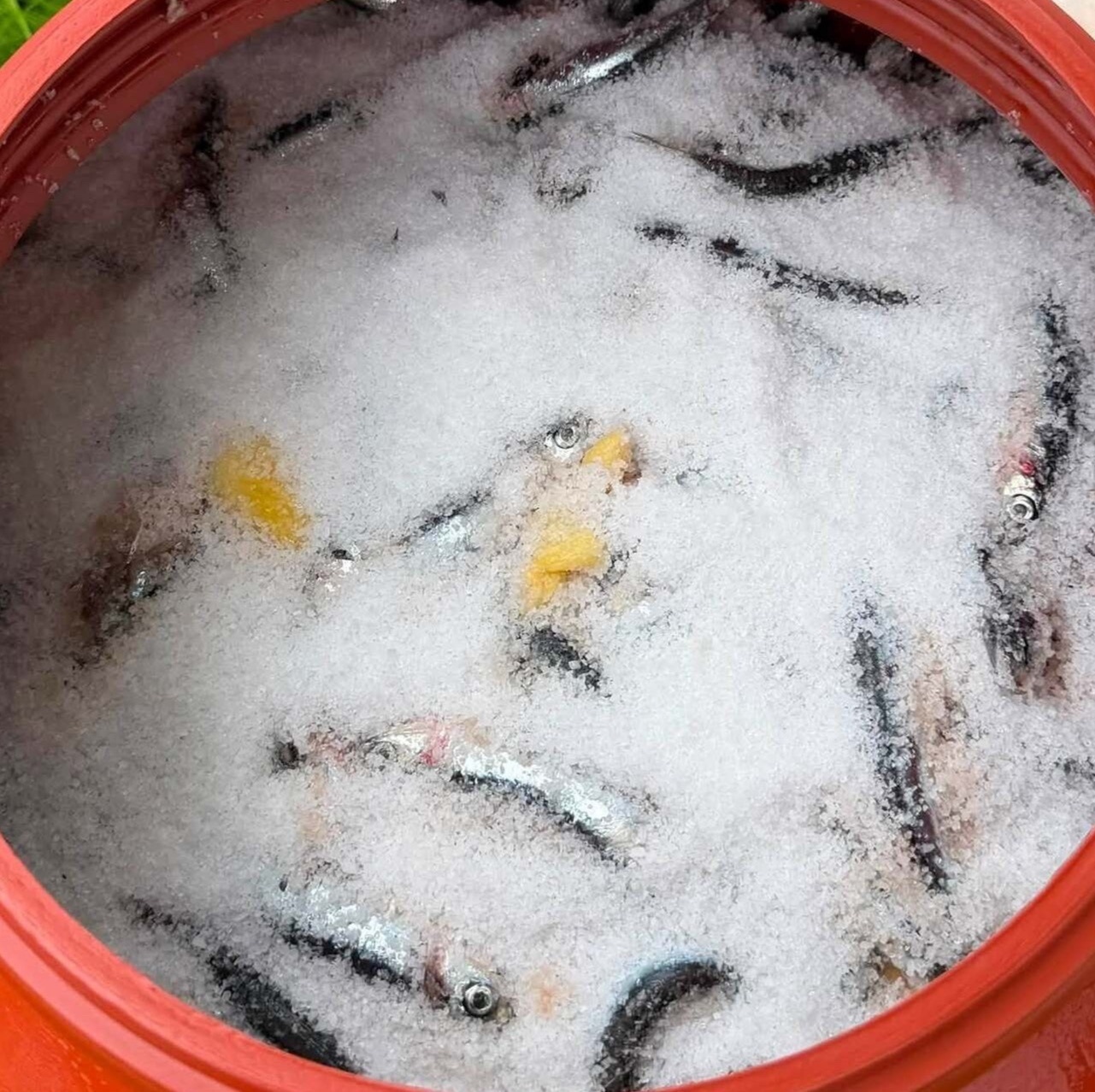 nghỉ hưu sớm ảnh 8
