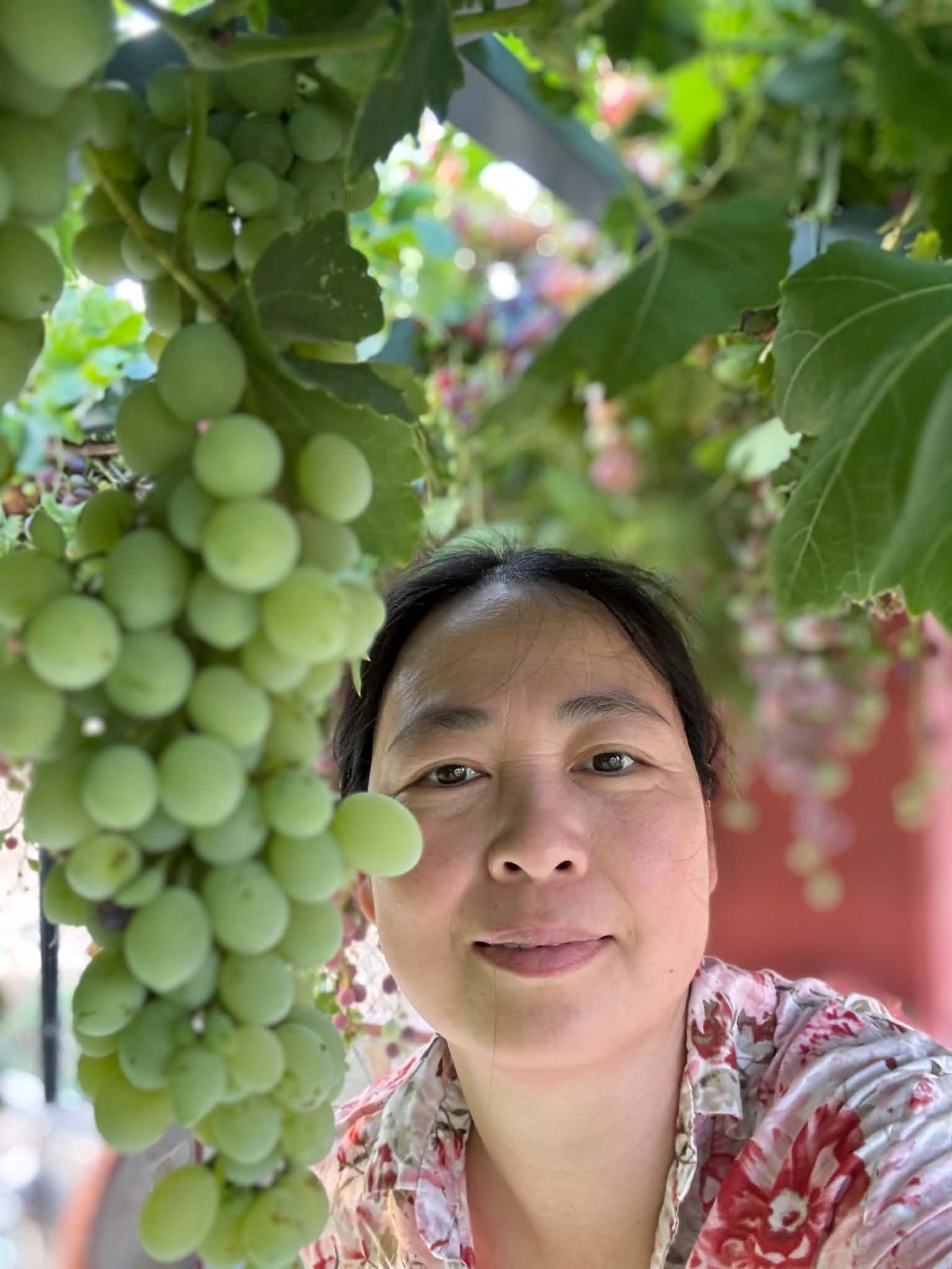 nghỉ hưu sớm ảnh 3