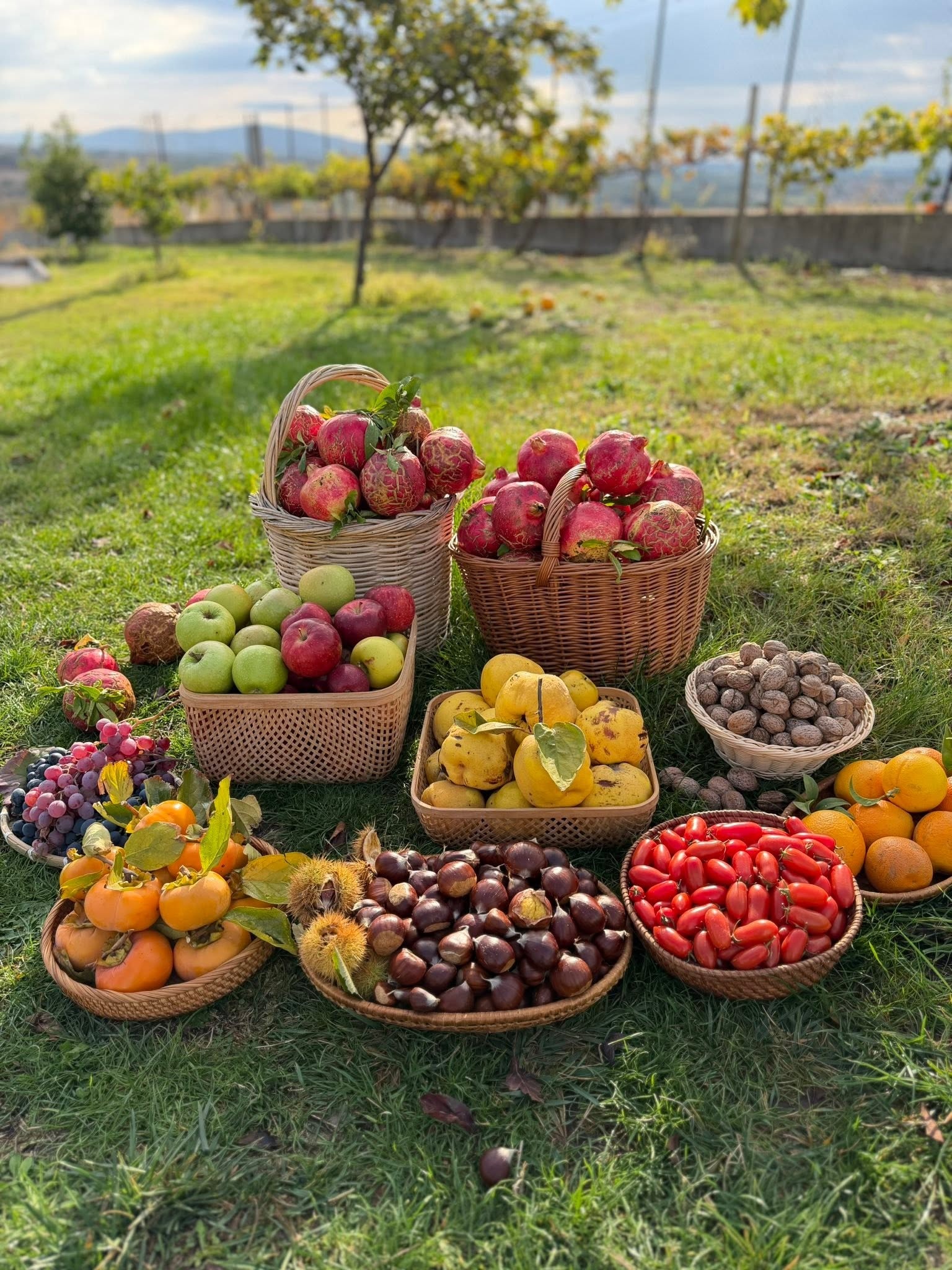 nghỉ hưu sớm ảnh 5