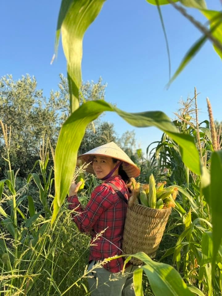 nghỉ hưu sớm ảnh 7