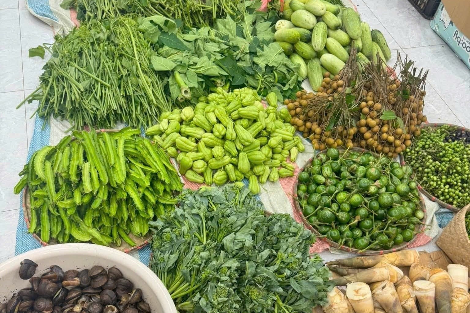 Cử nhân Luật bỏ việc về bán rau củ tại nhà
