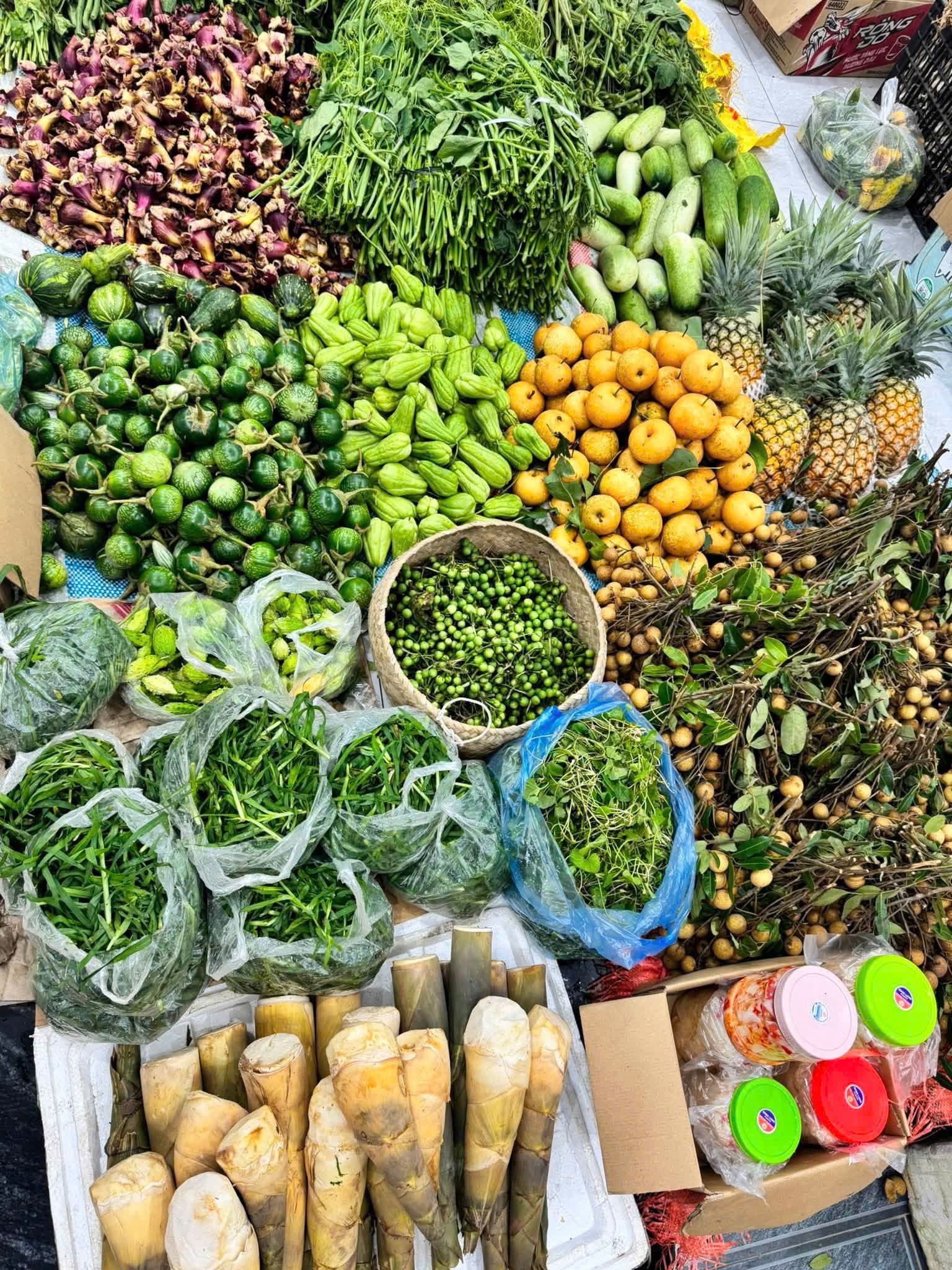 cử nhân bán rau ảnh 3 cử nhân bán rau ảnh 3