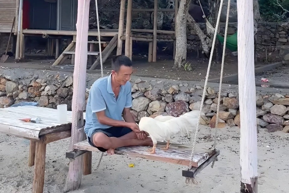 đảo hoang ảnh 1