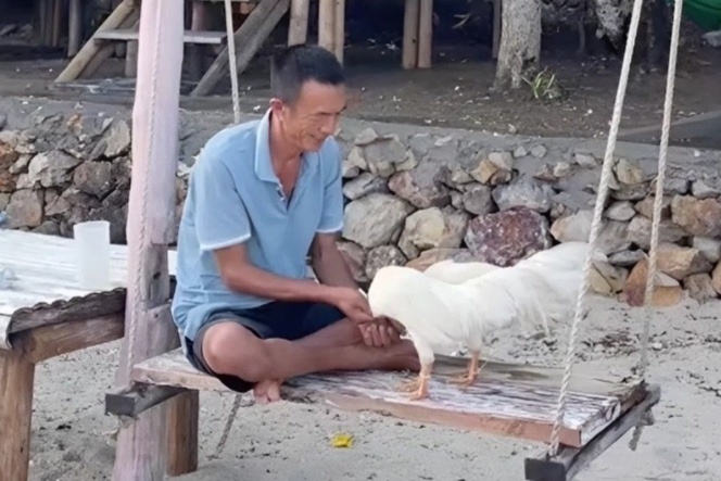 Người đàn ông bán ôtô, xa vợ con ra đảo hoang sống một mình