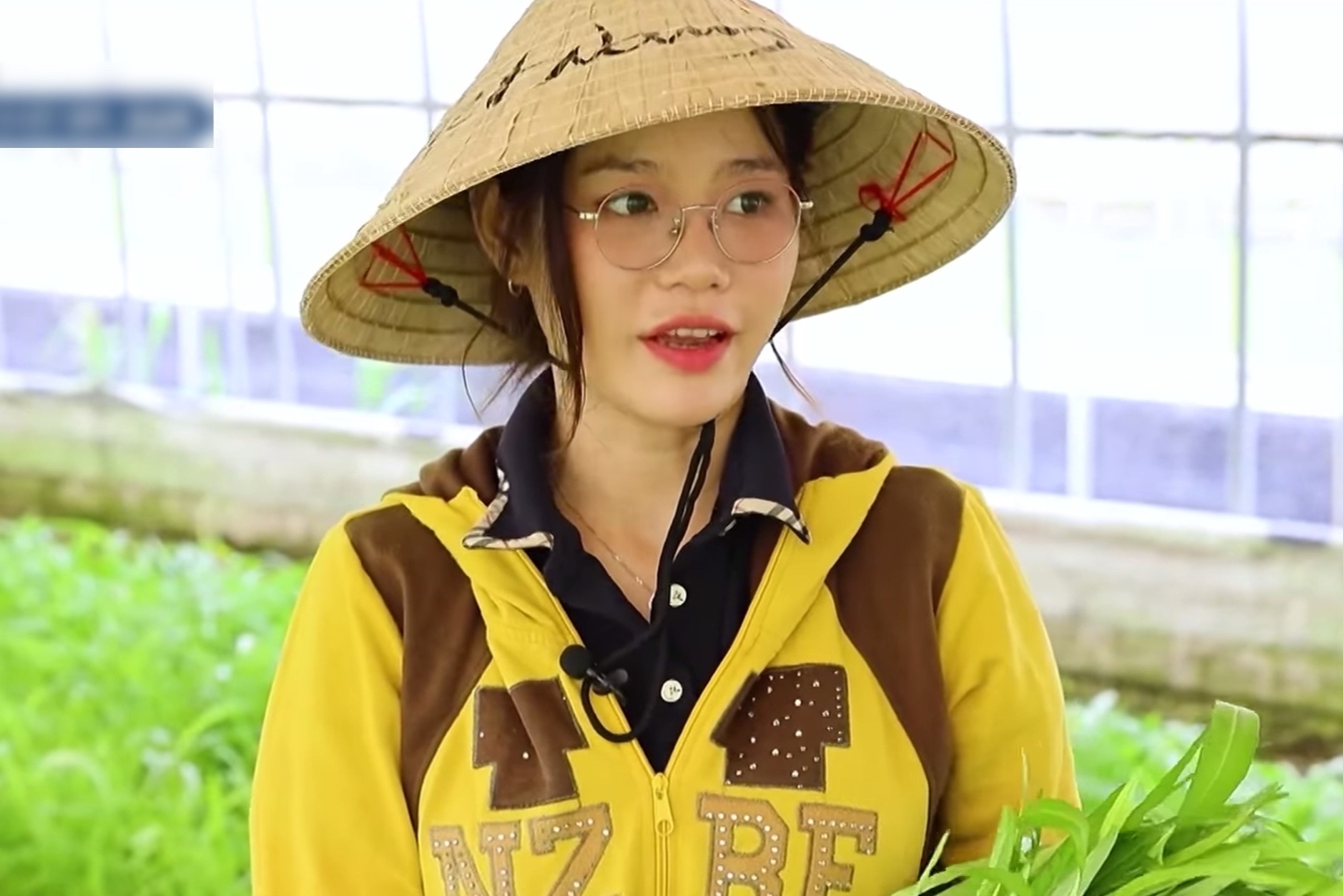 Cô gái Tây Ninh lên tivi Hàn Quốc, trồng rau kiếm 500 triệu đồng/tháng