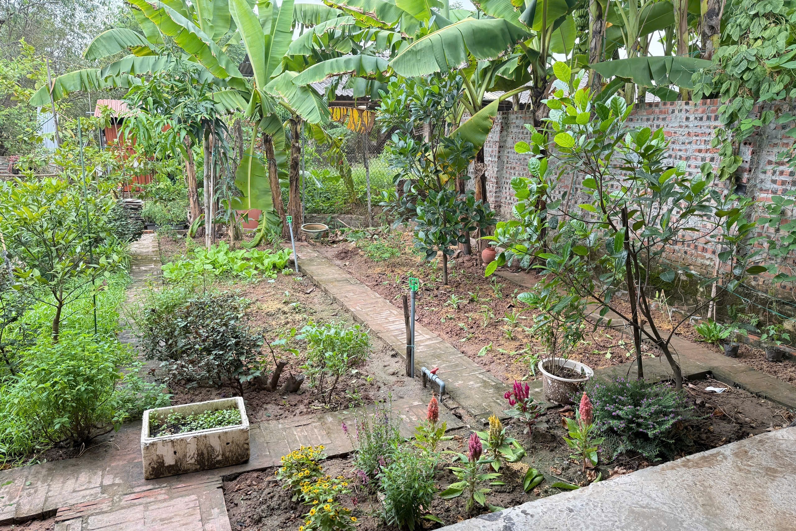 ngoại &ocirc; ảnh 3