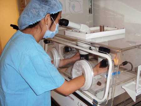 Phai la nguoi than thich moi duoc mang thai ho hinh anh