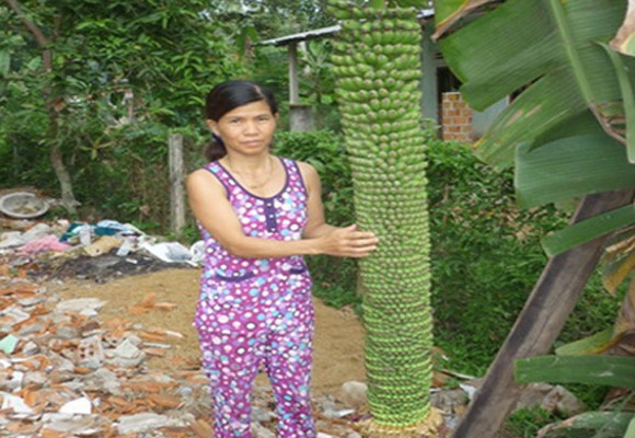 Do xo di xem buong chuoi la co hon 180 nai hinh anh