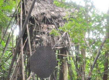 Bi lam phien, gia dinh 'nguoi rung' doi tien phong van hinh anh