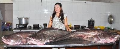 Cau duoc nhieu ca leo khong lo tren song Serepok hinh anh