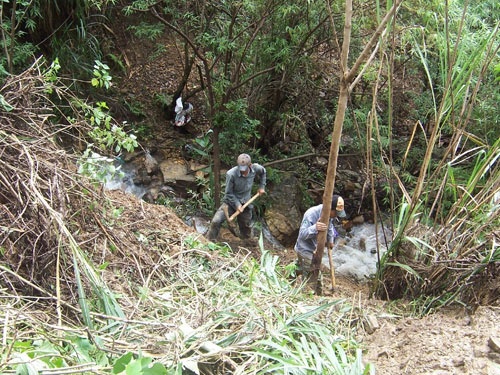 Loan … than duoc hinh anh