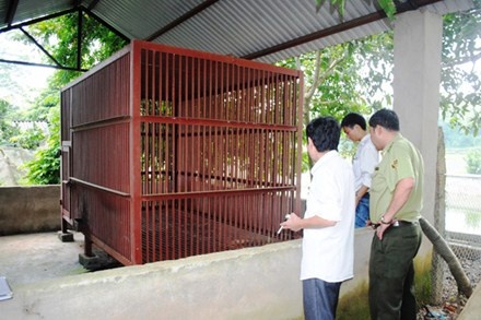 Chau be bi gau can dut hai tay da xuat vien hinh anh