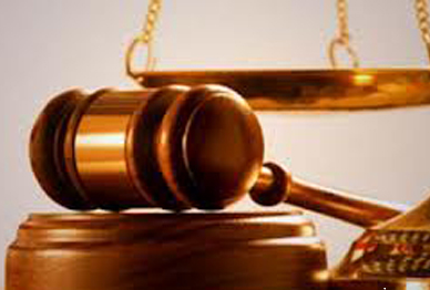 De xuat thanh lap toa an gia dinh va nguoi chua thanh nien hinh anh