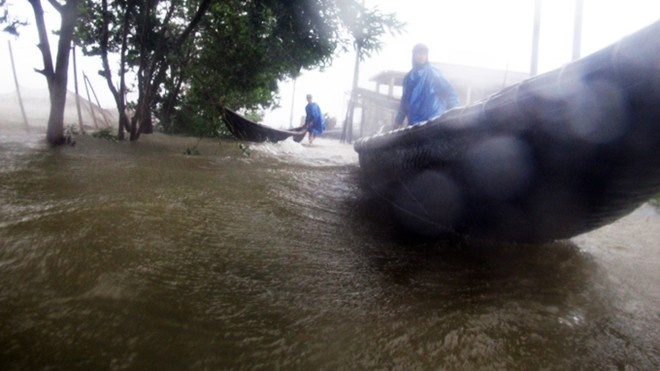 Video dau tien ve bao so 10 tai Hue hinh anh