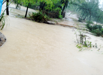 Ha Tinh vo bo ke, hon 300 nha dan ngap sau hinh anh