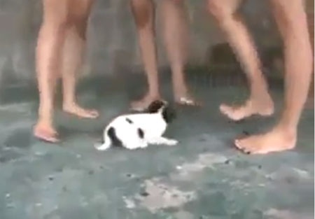 3 co gai giam cho con den chet: 'Mot' kinh di hinh anh