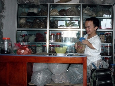 Luong y 9X cao 75cm hinh anh