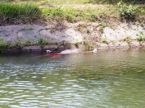 Phat hien mot thi the nu chet troi, mat bam tim hinh anh