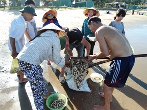 Bao tan, ngu dan kiem tien trieu nho 'loc bien' hinh anh