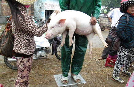 Nhung phu nu lam nghe… be lon thue hinh anh