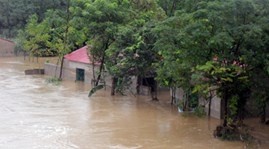 Hang tram ho dan Soc Trang bi ngap do vo de hinh anh