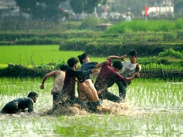 Bi dam vi… trung ten hinh anh
