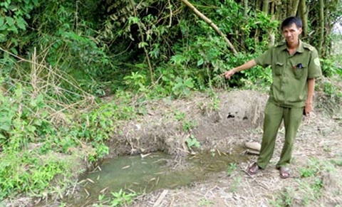 Nha ngoai cam 'tim thay' kho bau 1.000 tan vang hinh anh