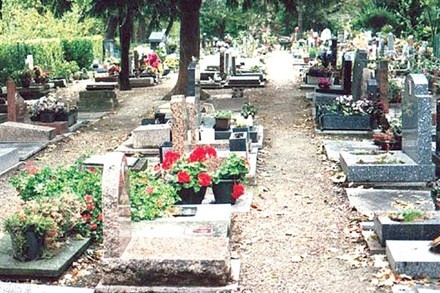 Phat hien be gai 6 tuoi bi bao hanh o nghia trang hinh anh