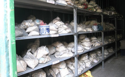 Lanh gay o nha giu thi the vo thua nhan hinh anh