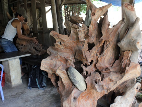 Nghe san, dao goc xa xi hinh anh