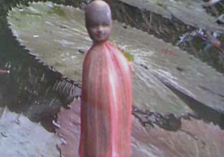 Dan hieu ky xem 'dau nguoi' moc tren hoa sung hinh anh