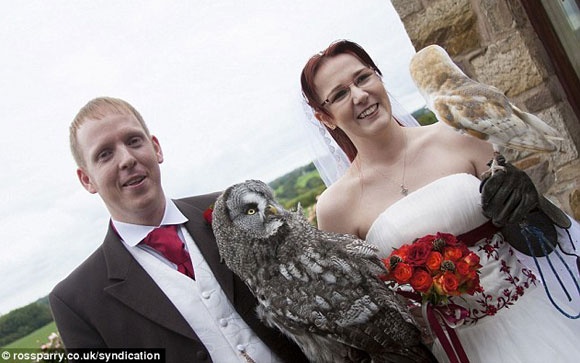 Suyt mat nhan cuoi vi y tuong doc trong le ket hon hinh anh