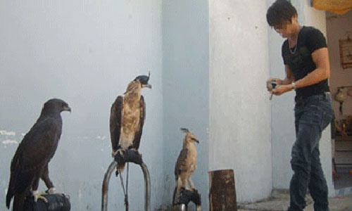 Vuong dieu, ky nhong - thu choi moi cua dan thanh pho bien hinh anh